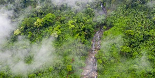 海南热带雨林国家公园